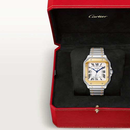 CARTIER - Santos de Cartier watch